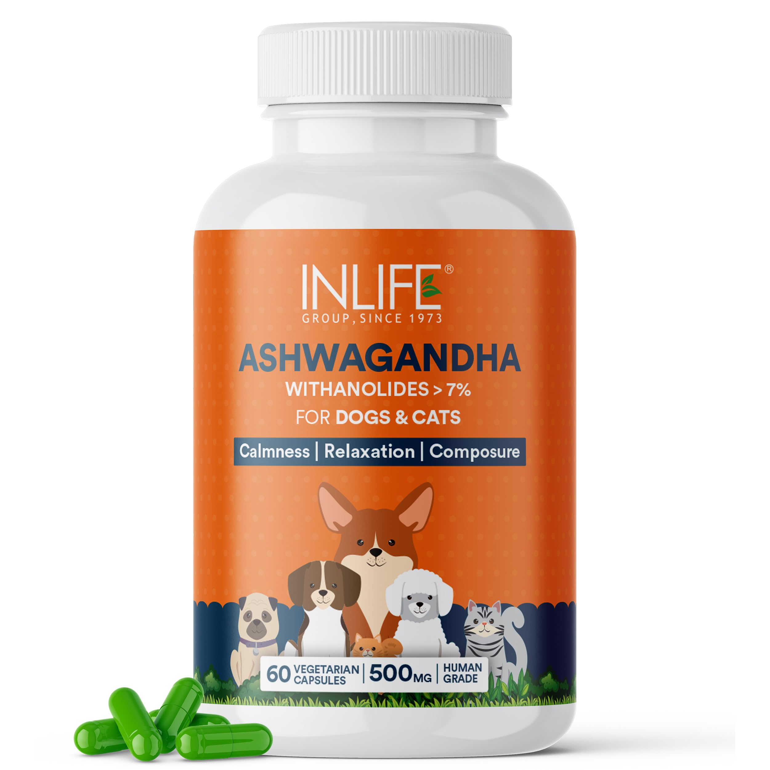 INLIFE Ashwagandha for Dogs (Withania Somnifera) Supplement for Relaxation, Calmness & Composure, 500mg - 60 Vegetarian Capsules (B0CRHGQMM3) Amazon Price History, Amazon Price Tracker