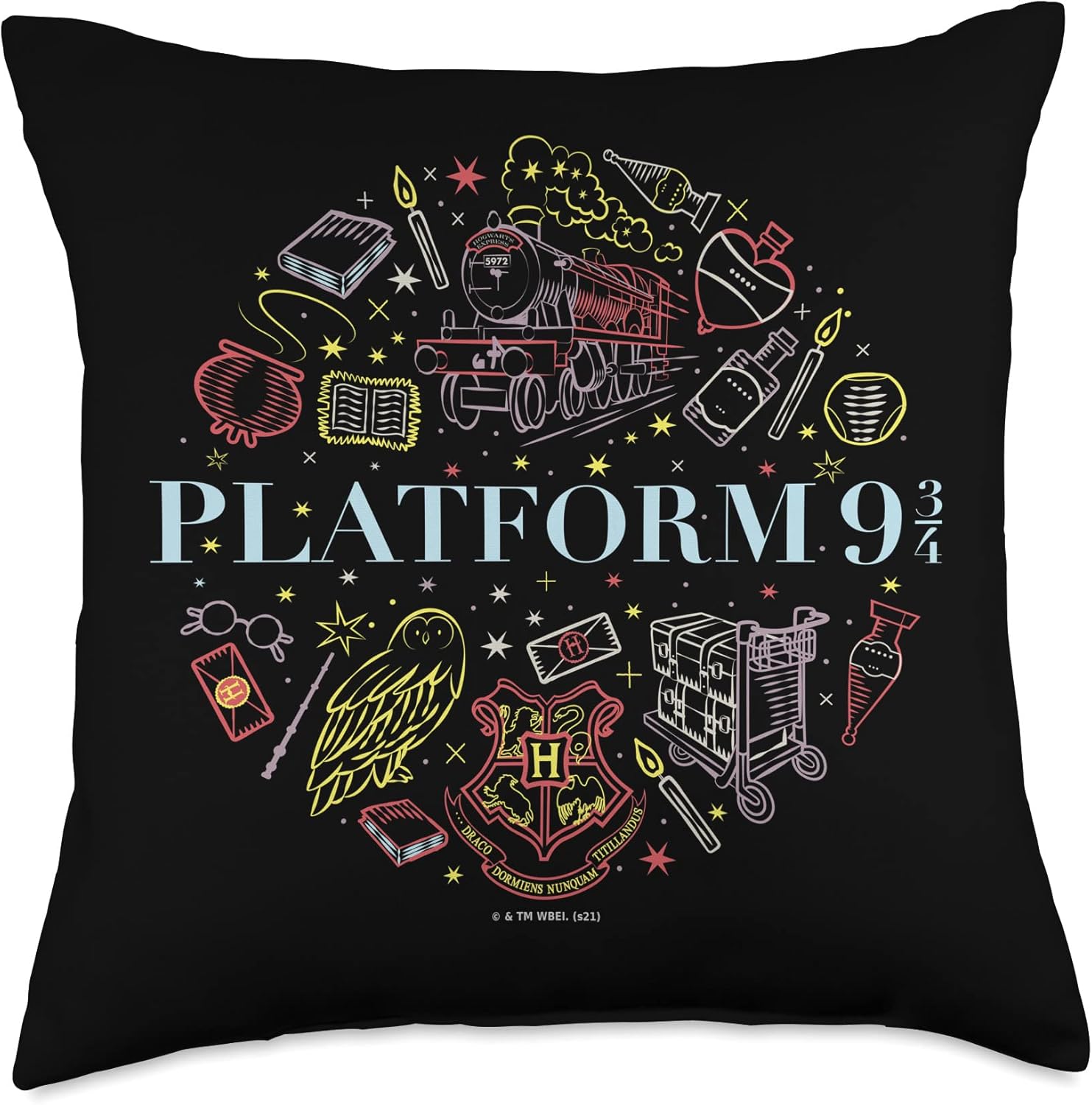 harry potter throw pillow