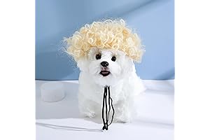 Legally Blonde Dog Costume: Canine Courtroom Couture