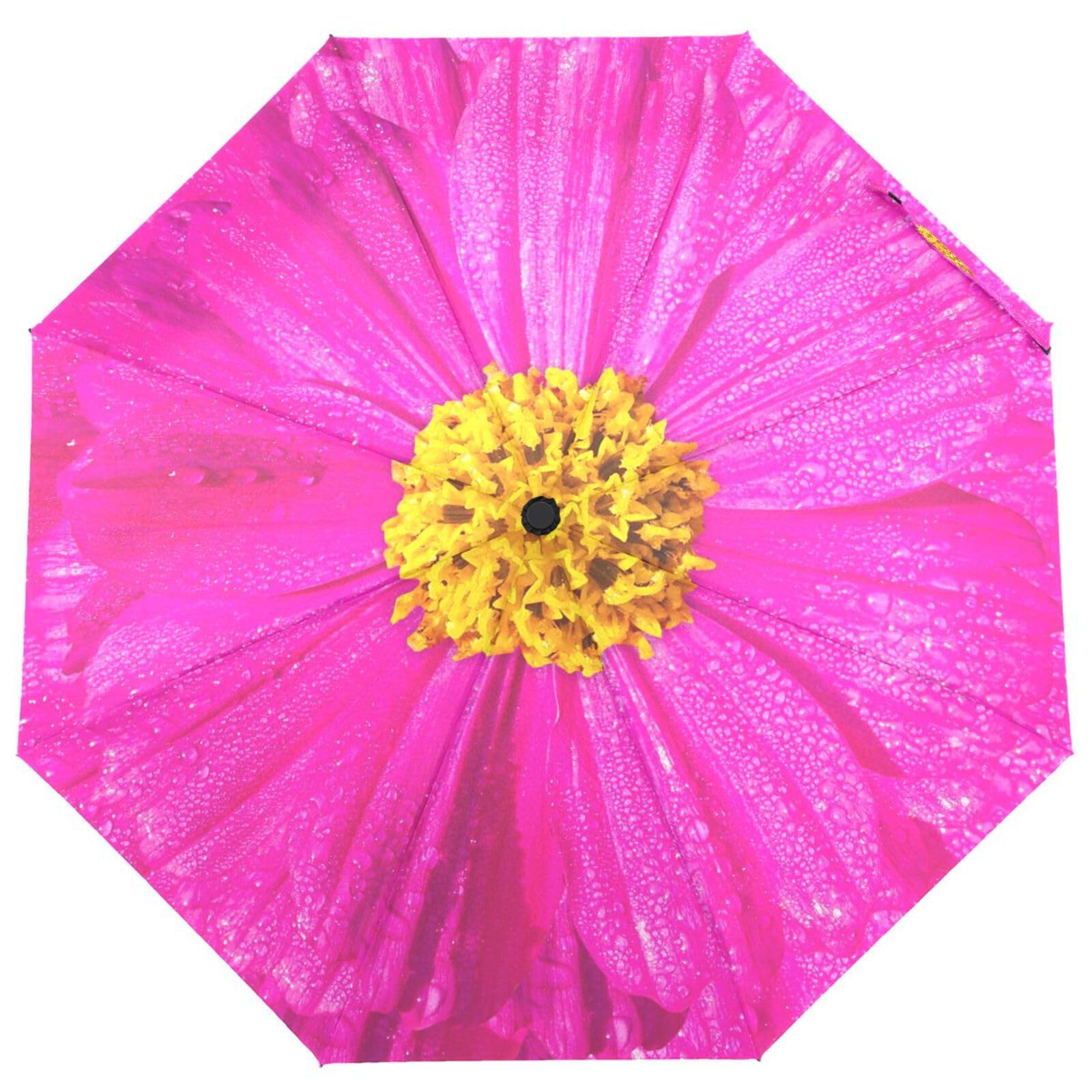 Khulula Automatic Auto Open Close Compact Printed Travel Umbrella for Rain Water-Resistant Mini Small Size Lightweight Folding Umbrella