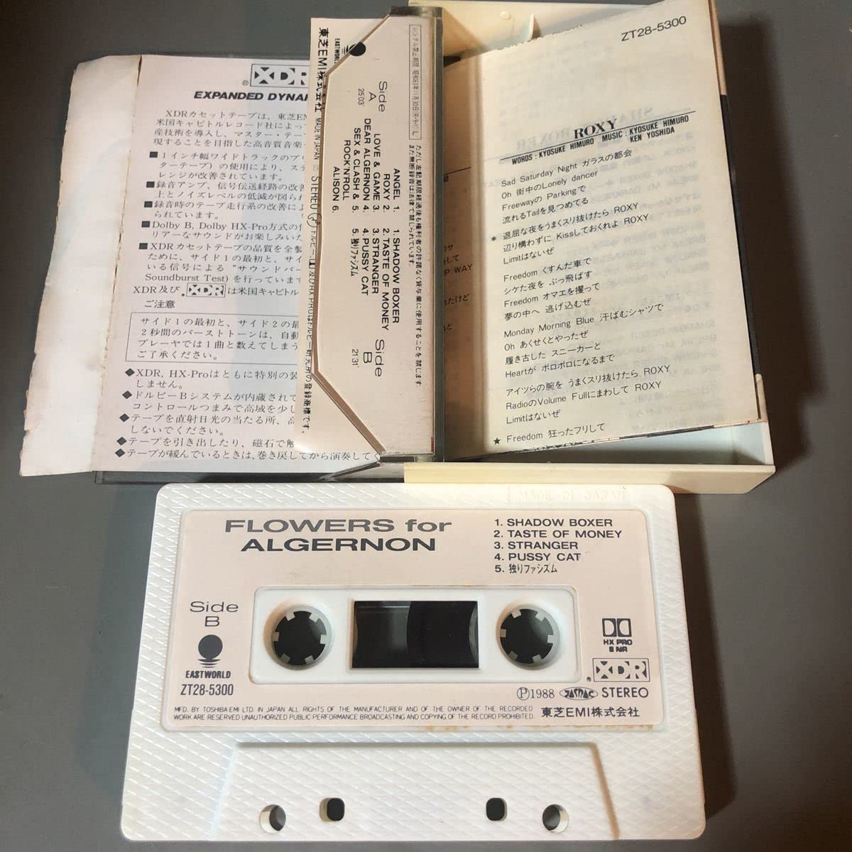Amazon.co.jp: 氷室京介 フラワーズフォーアルジャーノン 国内盤
