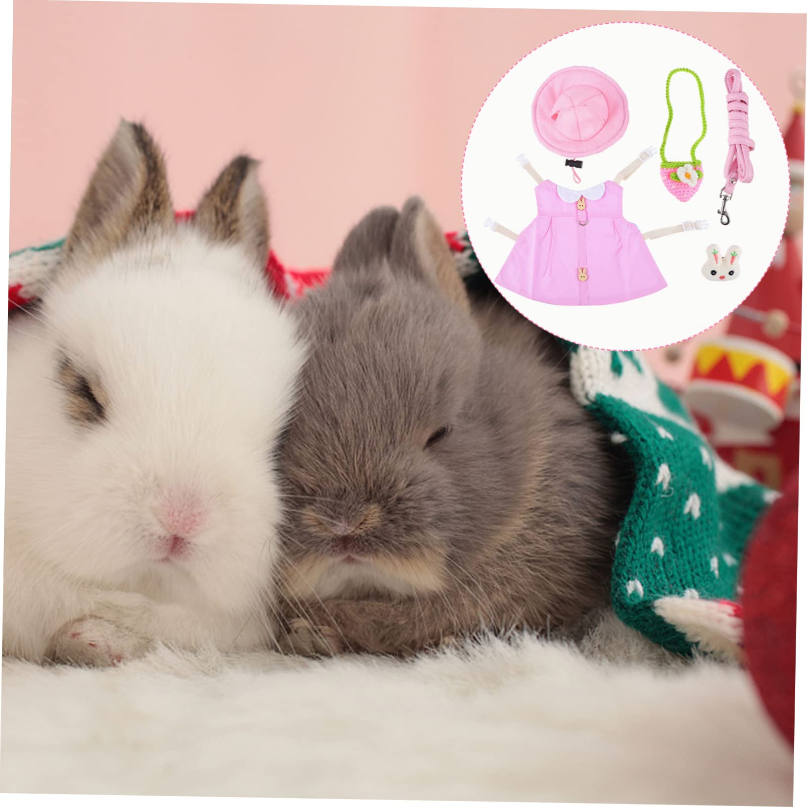 FRCOLOR 3 Pz Vestiti Da Coniglio Per Animali Domestici Furetto Per Furetti Imbracatura Da Coniglio Costume Da Coniglietta Di Cavia Piccolo Peluche Coniglietto Piccoli Animali