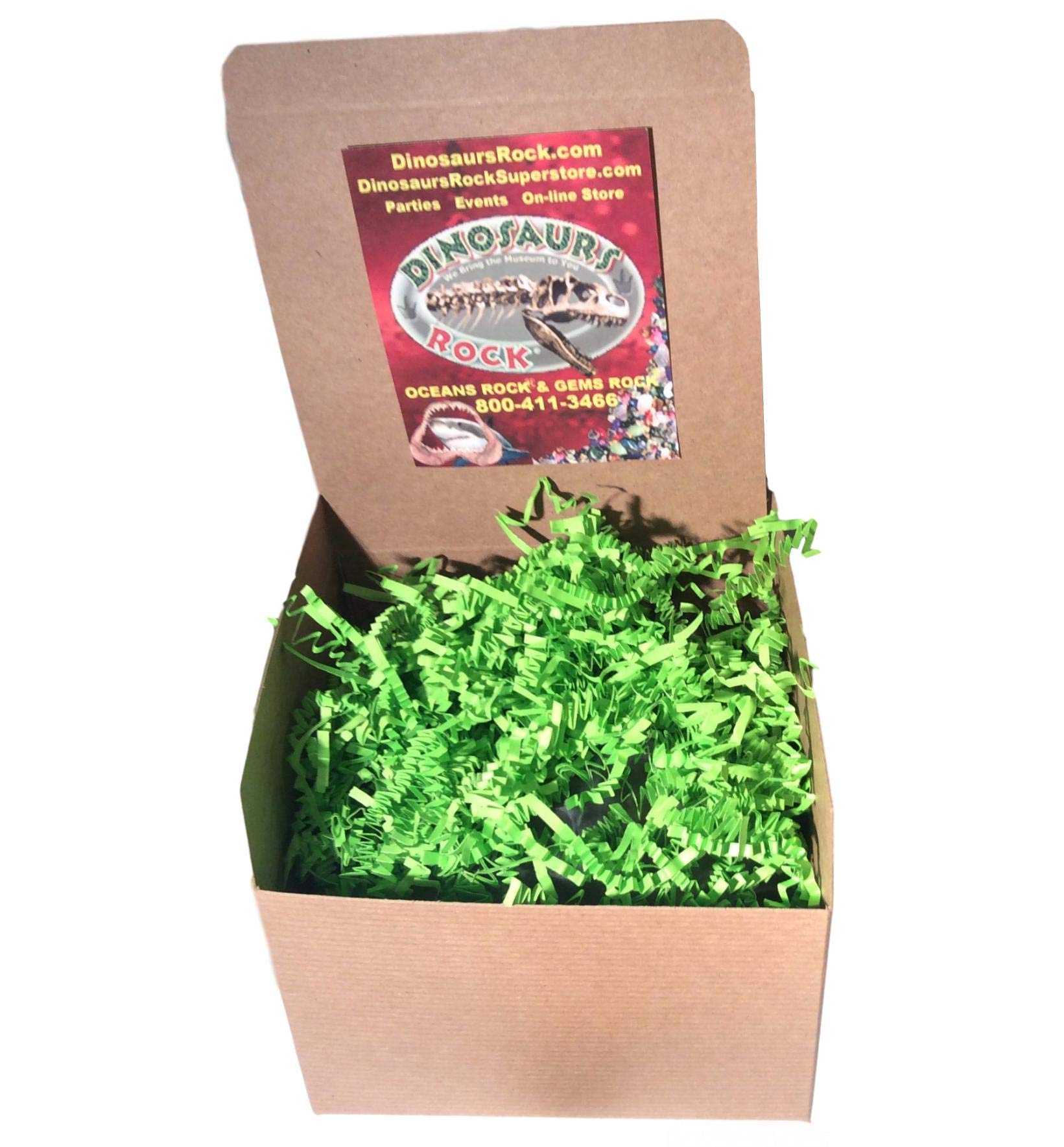 DINOSAURS ROCK® Rock & Mineral Gift Collection - Real Emerald, Amethyst, Calcite, Quartz, Jasper and Polished agates with Bonus Mineral ID Chart - 100+ Pieces with Gift Box