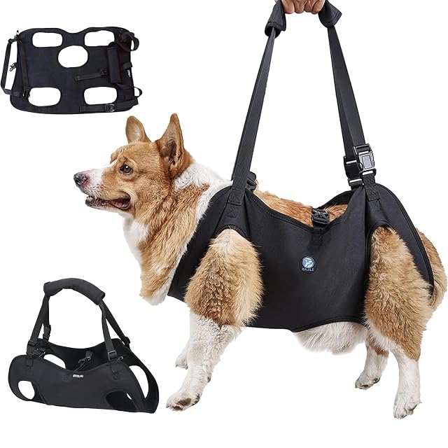 KAJILE Arnés de Elevación/Transporte para Perros,Arnés de Apoyo y Rehabilitación…