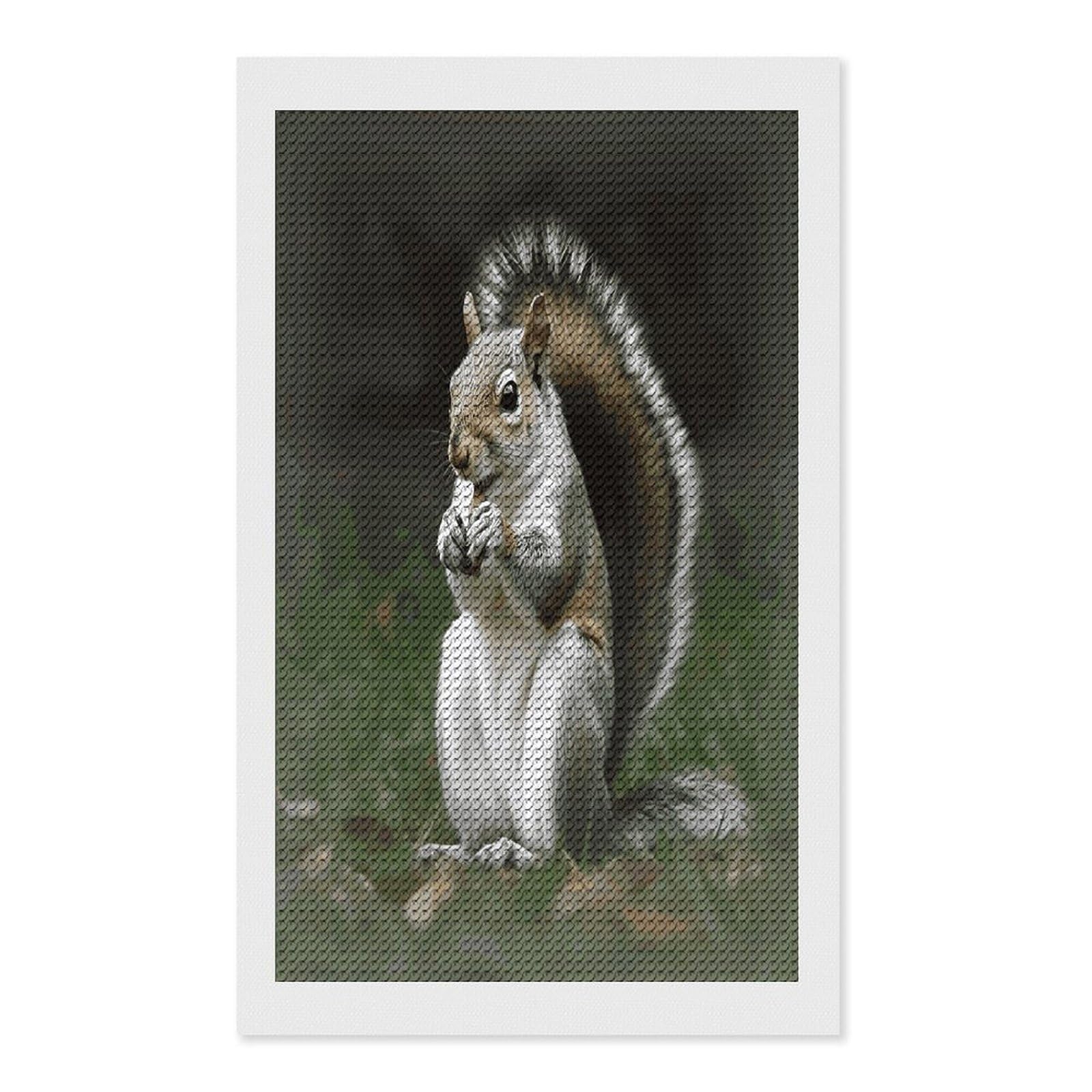 FekiLoot Squirrel Diamond Painting Kits for Beginners DIY Diamond Art Kits for Adults Full Drill Round Diamond Dot Gem Art Painting Fun DIY Crafts for Home Kitchen Wall Decor Gift 12"x20"