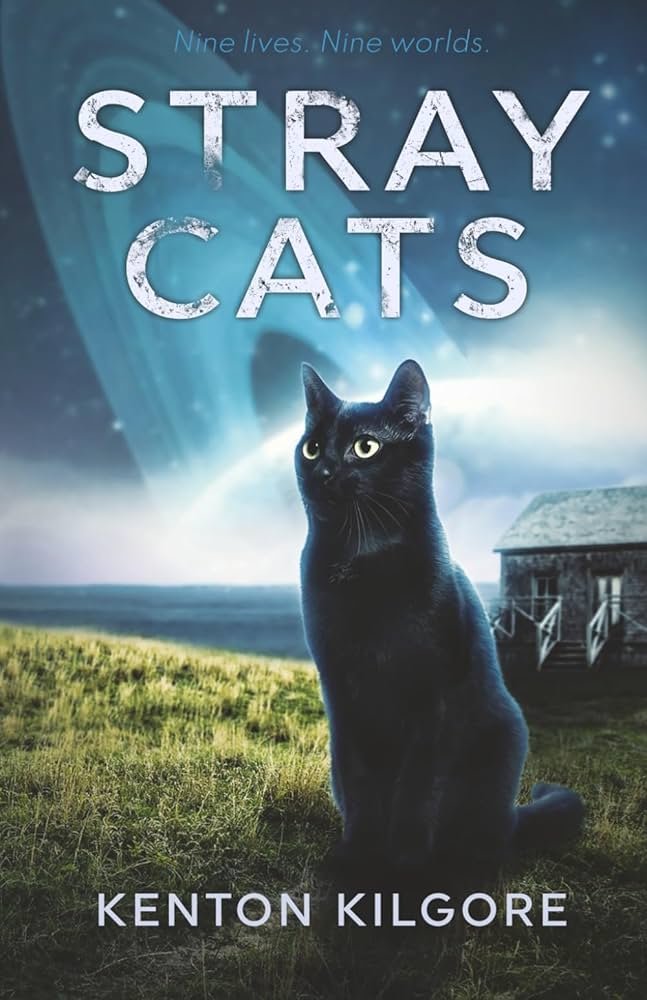 STRAY☆CATです。 Amazon.com: Stray Cats: 9798830901789: Kilgore, Kenton: Books