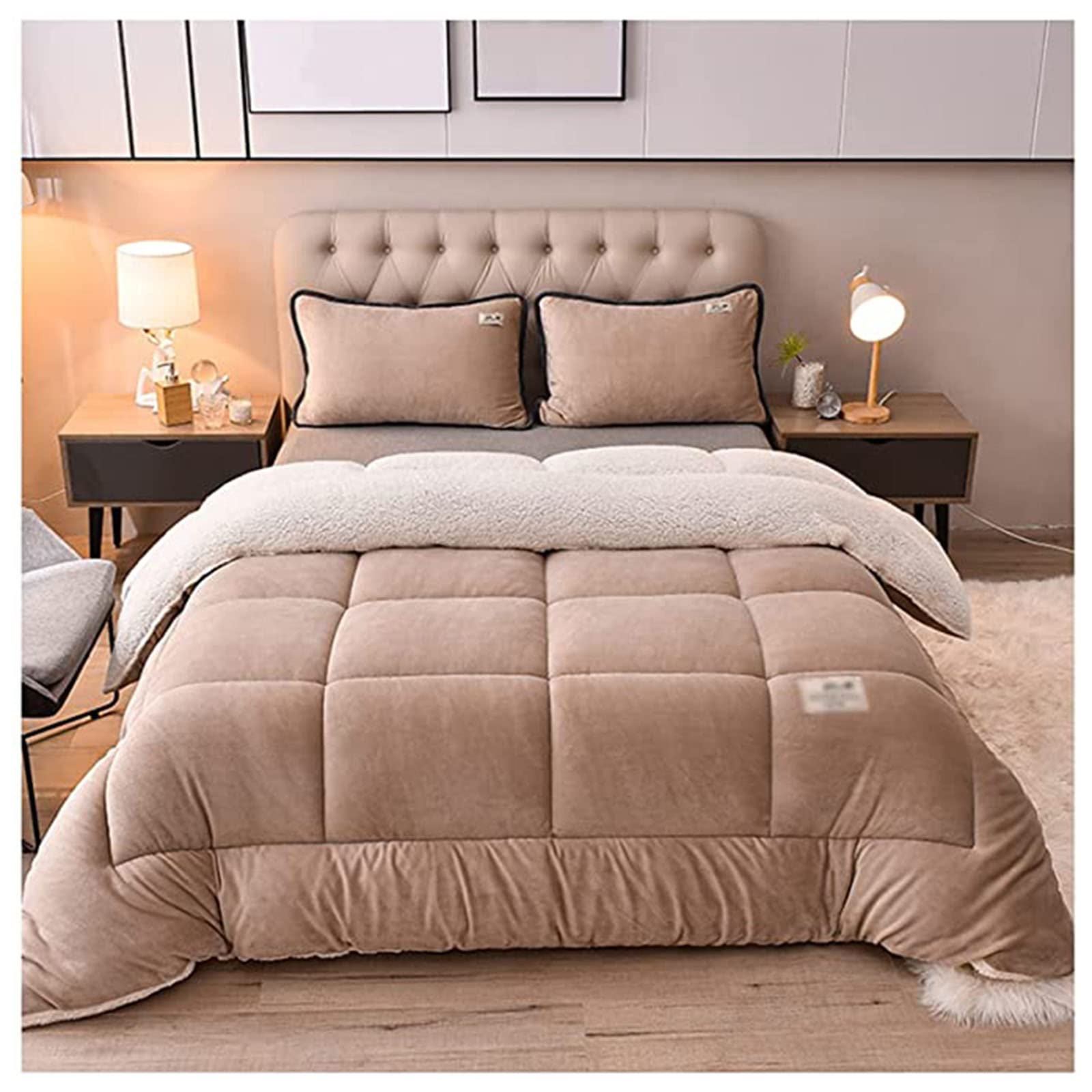 BDMFJYSuper Warm Lamb Wool Queen Size Quilt Winter Blanket Double-Sided Velvet Quilt Thickened Warm Autumn Spring Plush Comforter Core, Plain Blanket,B,220x240cm(5kg)