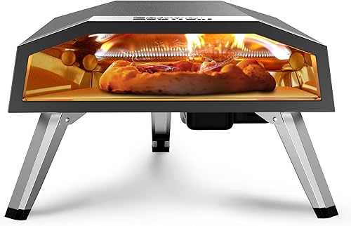 Ecowell Horno de pizza a gas  Máquina de pizza de 12 pulgadas con regulador de gas, cocina de pizza de propano de ahorro de energía al aire libre,