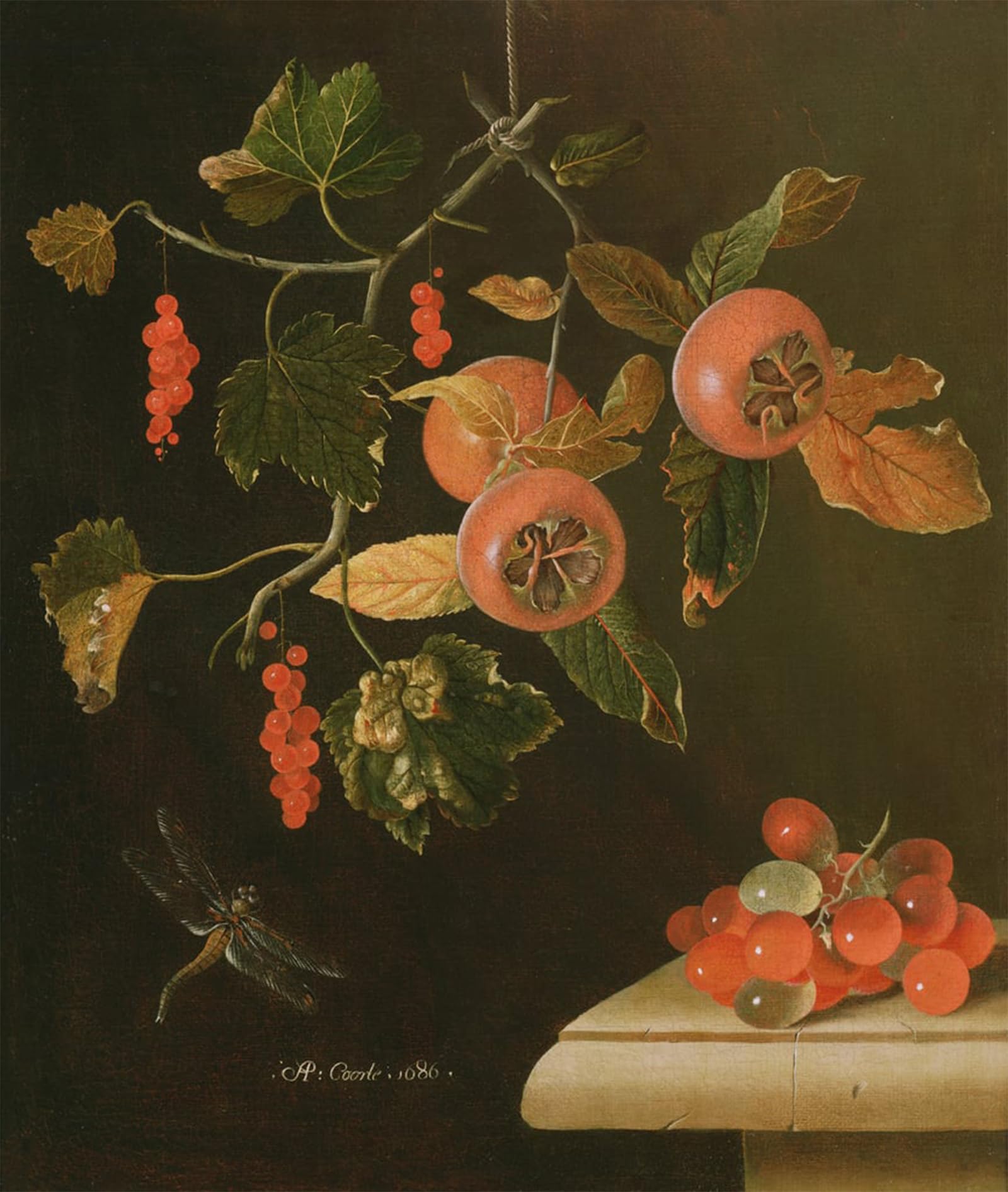 SERENDIPITP Aesthetic Poster Photo Wall Print Retro Picture Still Life of Medlars Redcurrants Grapes and a Dragonfly by Adrian Coorte Modern Wall Artwork for Home Decor 60x90cm