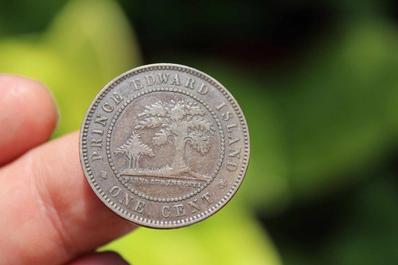 Amazon.com: 加拿大硬幣，一分，維多利亞女王，愛德華王子島，F，1871 : 玩具和遊戲