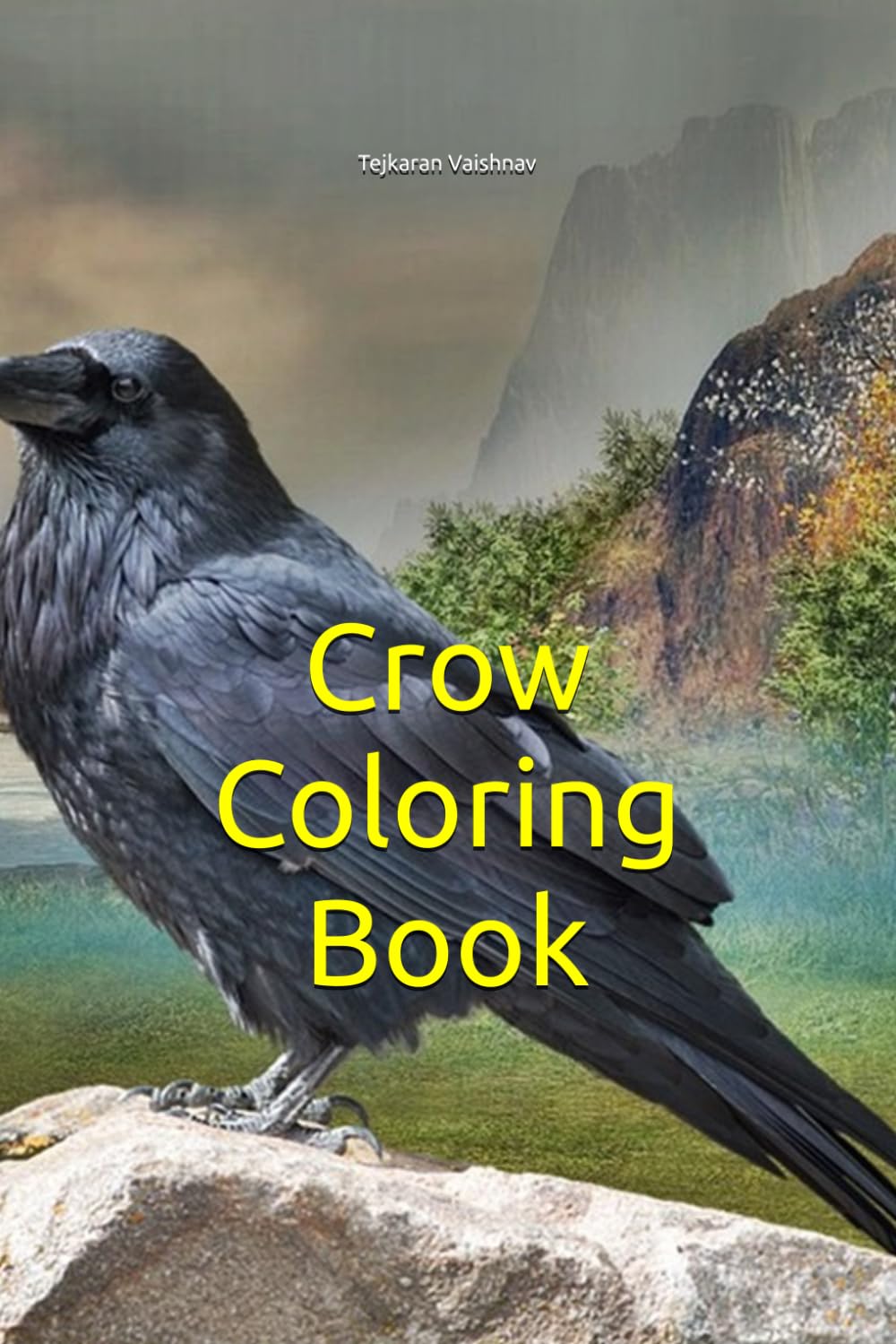 Crow Coloring Book