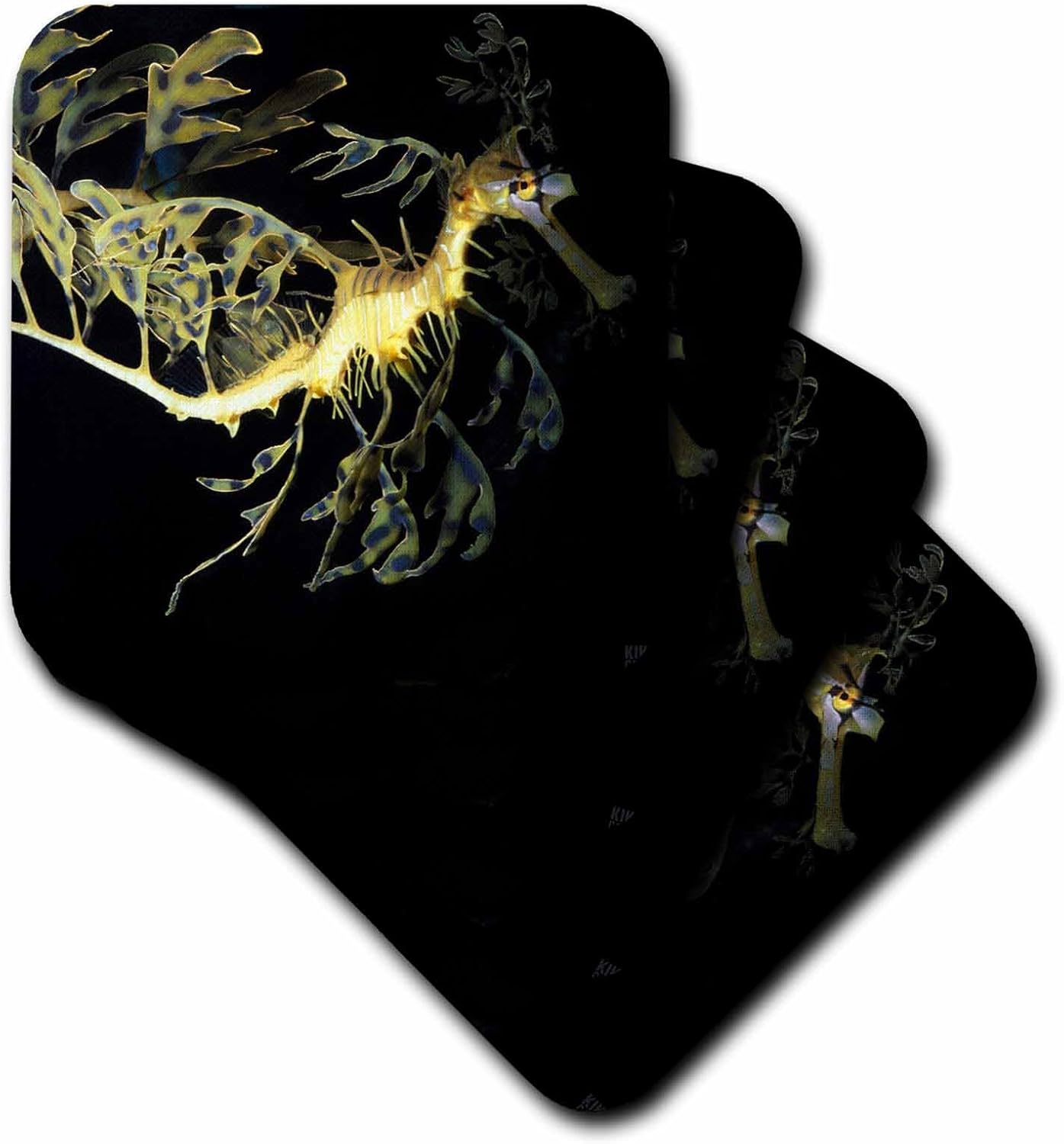 3dRose CST_9950_1 Leafy Sea Dragon Seahorse, Phycodurus Eques-Soft Coasters, Set of 4