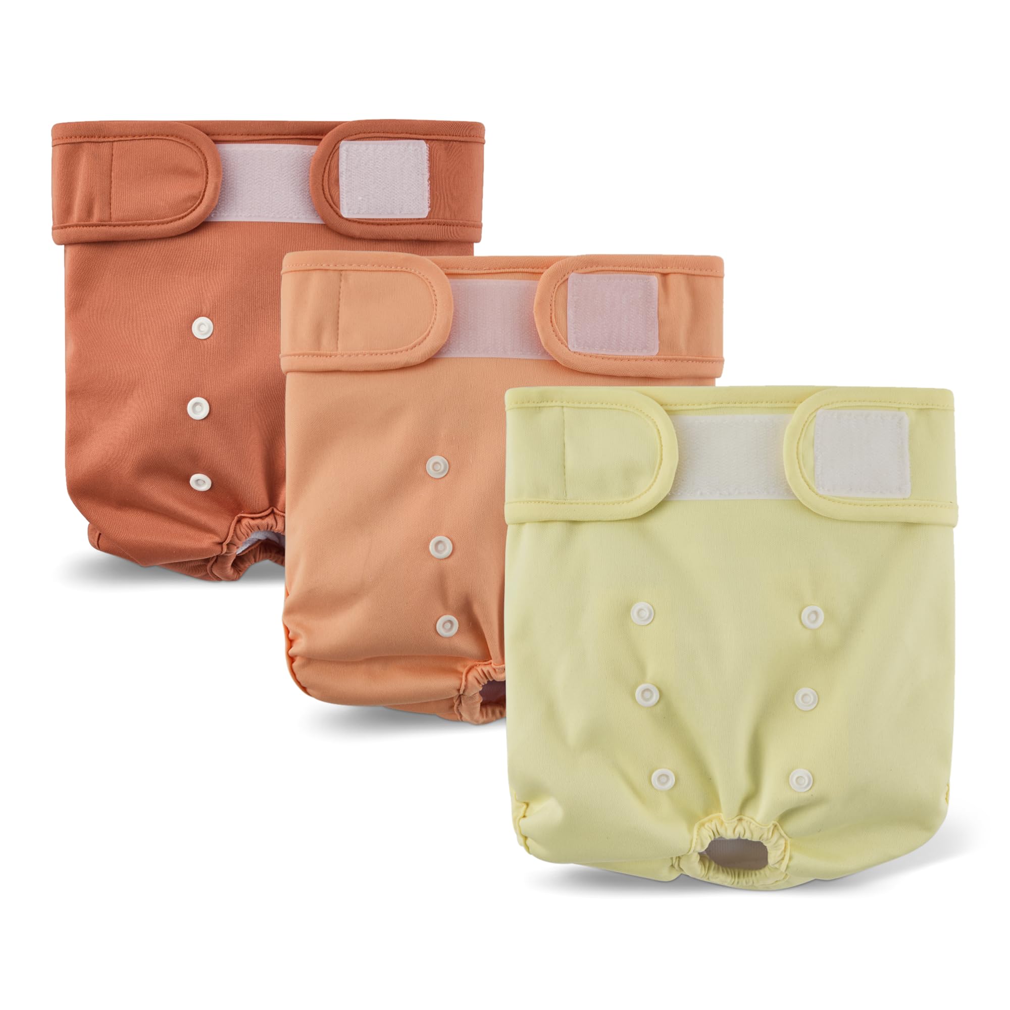 Amazon Basics Washable Dog Nappies for Female Dogs, Reusable, High-Absorbency with Sewn-in Pad, Soft and Comfortable Fit, Large, 3-Pack