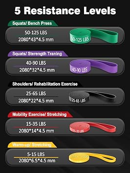 Resistance Bands Pull Up Assistance Bands, Long Exercise Workout Bands Set with Handles and Door Anchor, Elastic Band for Working Out, Body Stretching, Muscle Training, Men Women