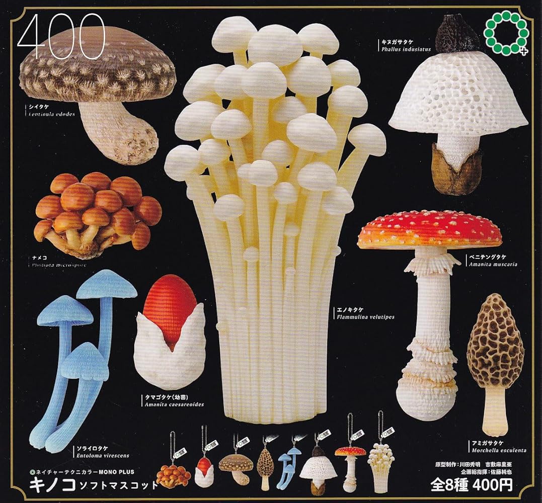 Amazon.co.jp: ネイチャーテクニカラーMONO PLUS キノコソフト