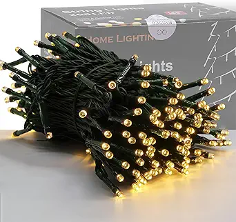 Home Lighting 66ft Christmas Decorative Mini Lights, 200 LED Green Wire Fairy String Lights with 8 Modes