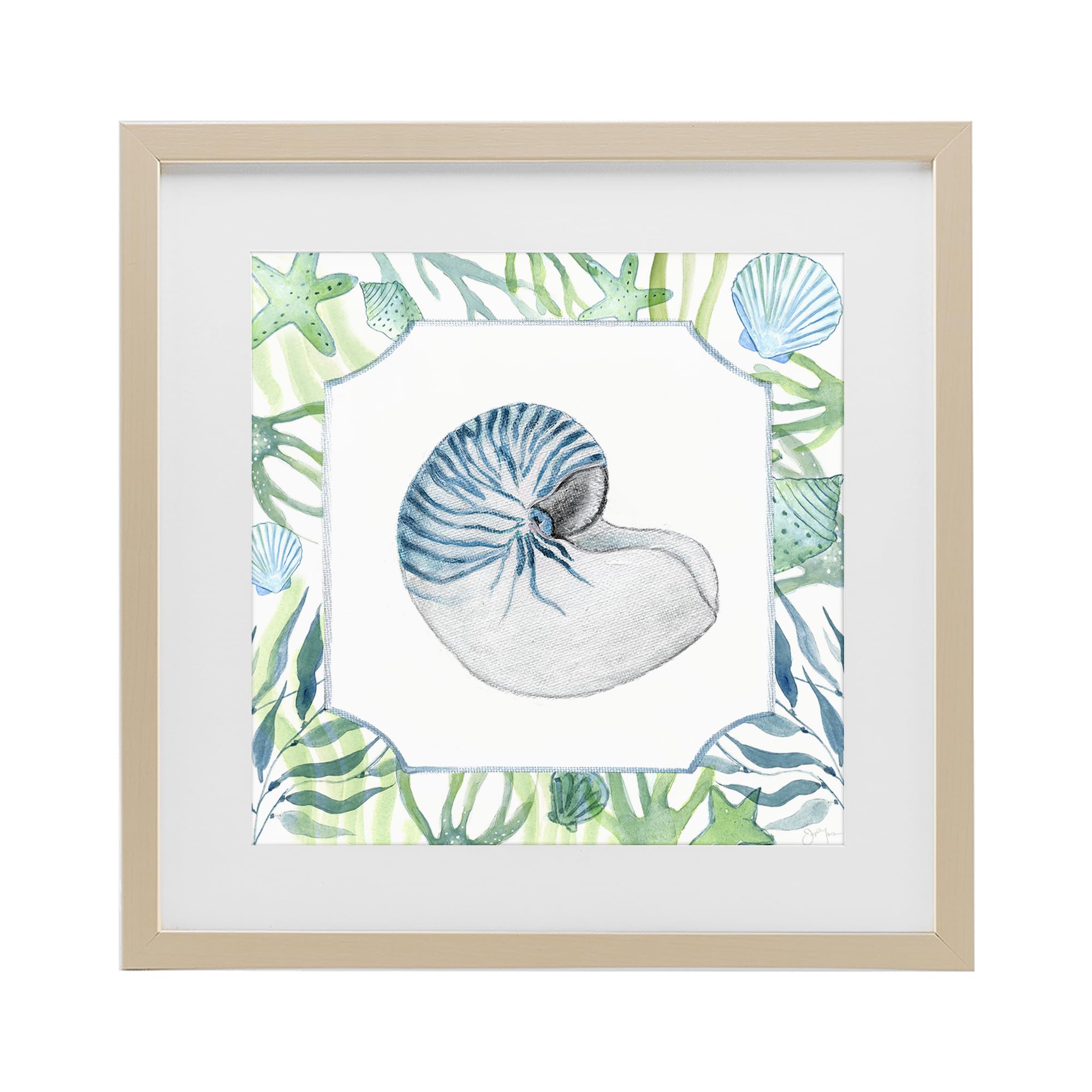 Stupell Industries Harvest Pine (Textured) 'Seaweed & Seashells Aquatic'| Framed Print Under Glass