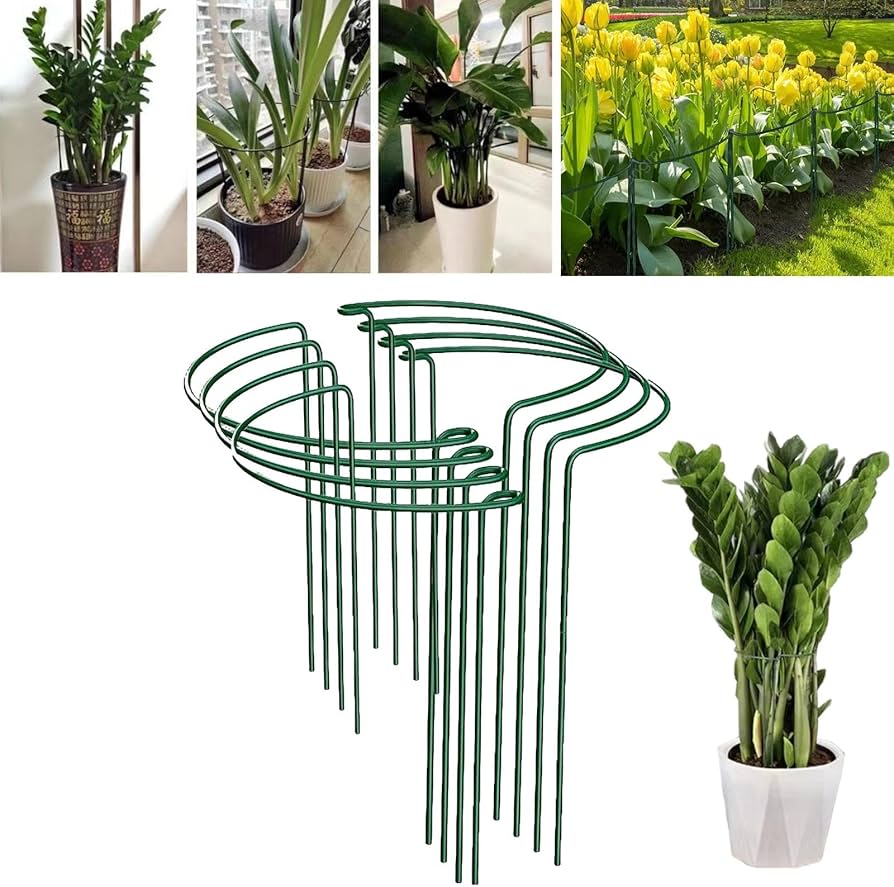 Amazon.co.jp: 8個セット園芸支柱 植物支柱 花ささえ 半円形 植物 Amazon.co.jp: 8個セット園芸支柱 植物支柱 花ささえ 半円形 植物