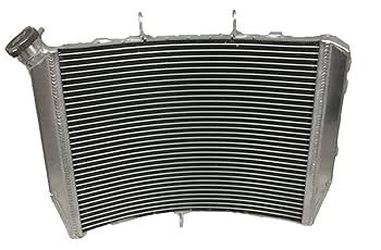 かりんと Rigorer AR2 'Valentine's Day' Kid Sneaker [Z625360101-41