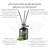 Ver la foto 5