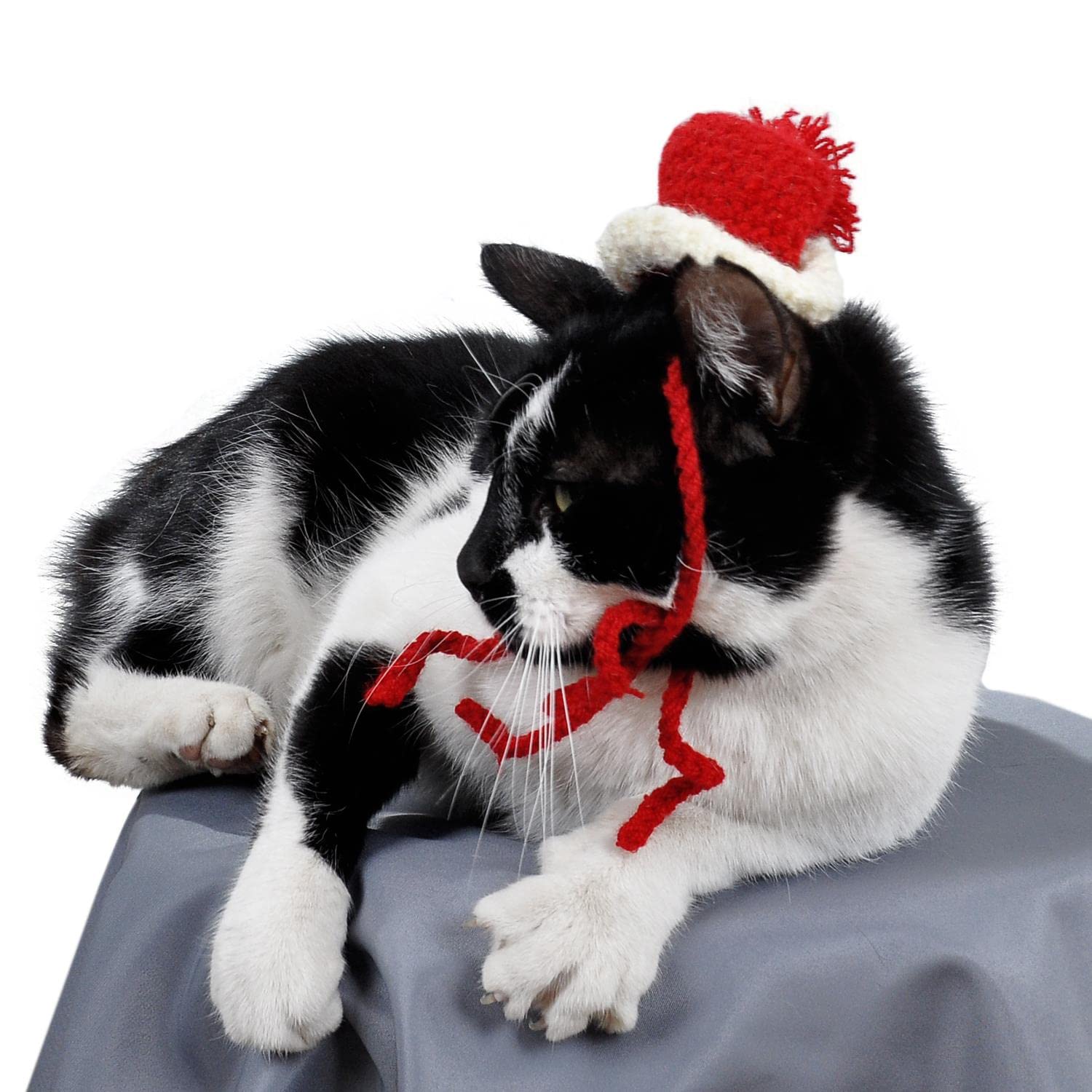 Örme Kedi Şapkası, Yılbaşı Tasarımı