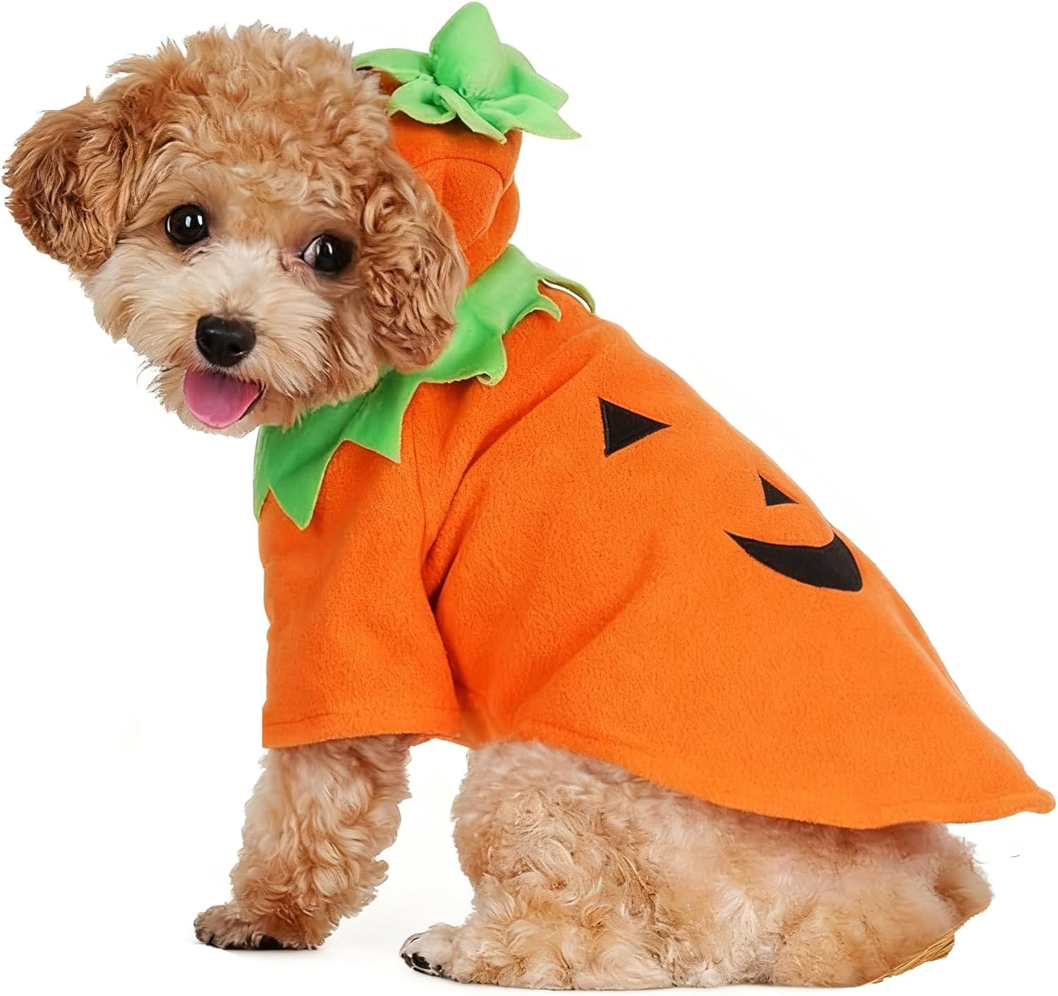 Disfraz de Calabaza para Perro Tongcloud Talla Mediana