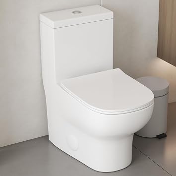 Modern One Piece Tall Toilet, Elongate Skirted Bowl Chair Height 17 for Bathroom, Quiet Siphon Flush with Siphoning Jet Dual Flush 1.1/1.28 GPF Include Soft Close Seat 12 Rough-in