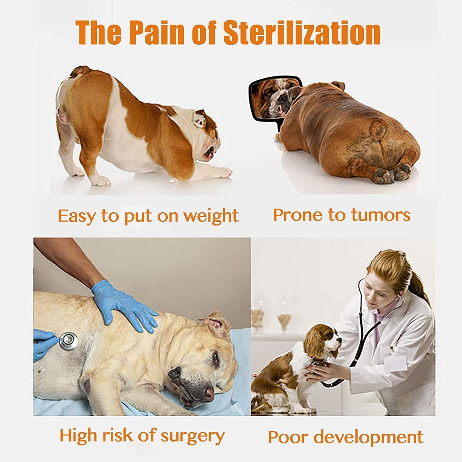 Männlicher Hund Paarungsspielzeug Silikon-Simulations-Begleittier Estrus Puppy Haustier Begleiter Spielzeug Plüsch Vent Hundespielzeug for Rüde Estrus Hund Bulldogge Teddy Hund