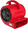 MOUNTO 1/5hp Air Mover 800cfm Blower Fan Carpet Floor Drying Fan - 3-Speed Compact Air Mover w/Dual Outlet, 10ft Power Cord for Drying, Cooling, Air Circulation (Blue)
