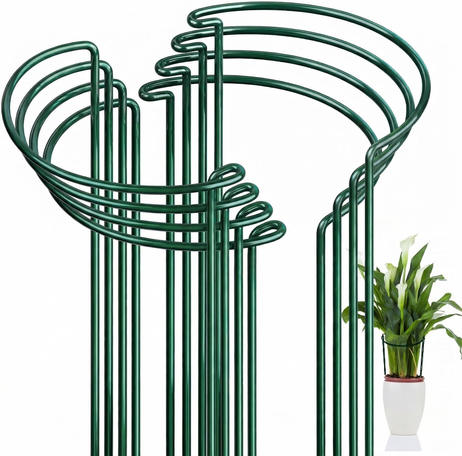 FEED GARDEN 8 Pack Plant Support Stakes, Peony Cages and Supports, Metal Garden Plant Stake(10" Wide x 16" High) Green Half Round Plant Support Rings for Outdoor Indoor Plants, Tomato, Hydrangea