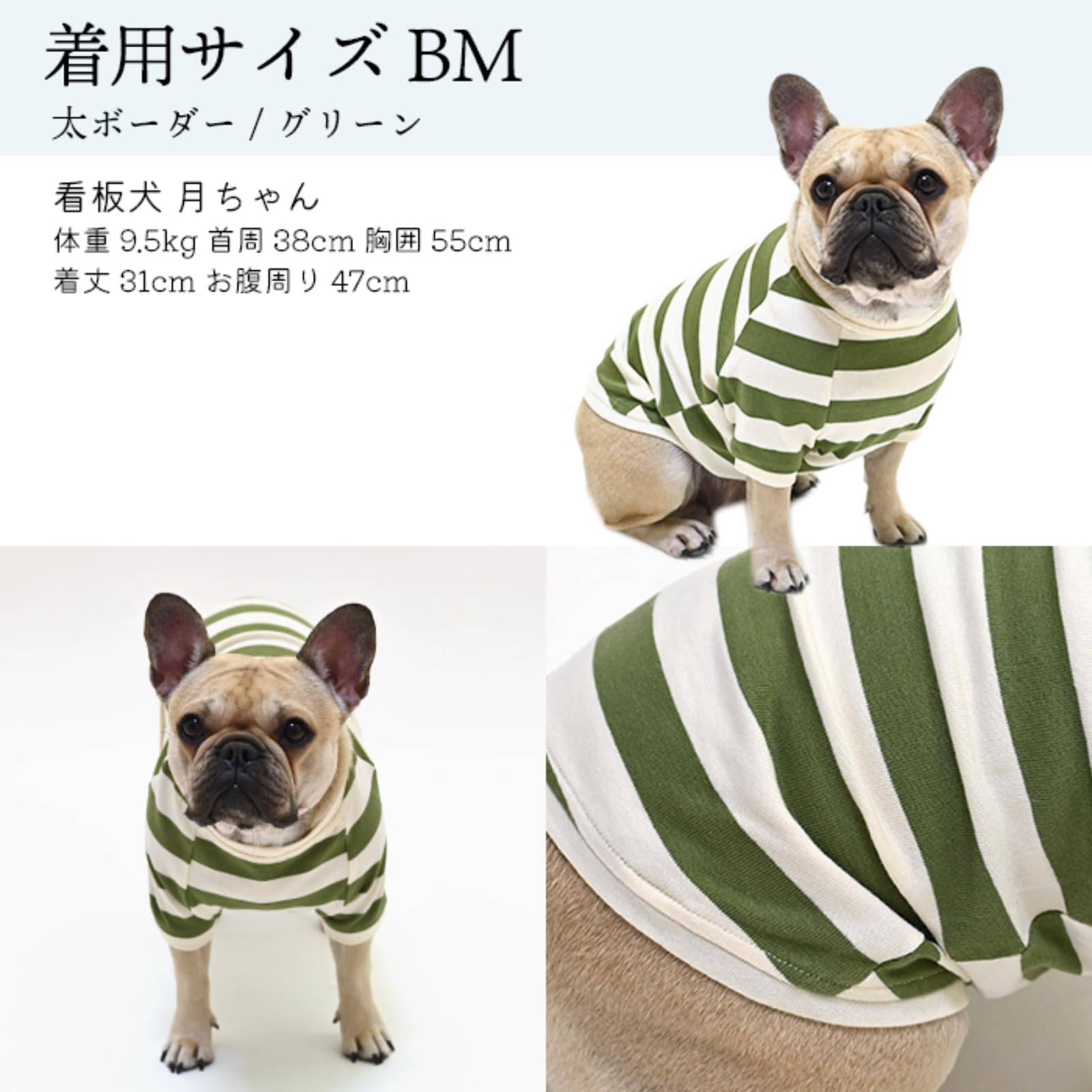 Amazon | FRENCH FRENCH 綿100% 犬服 犬 ボーダーTシャツ フレンチ 
