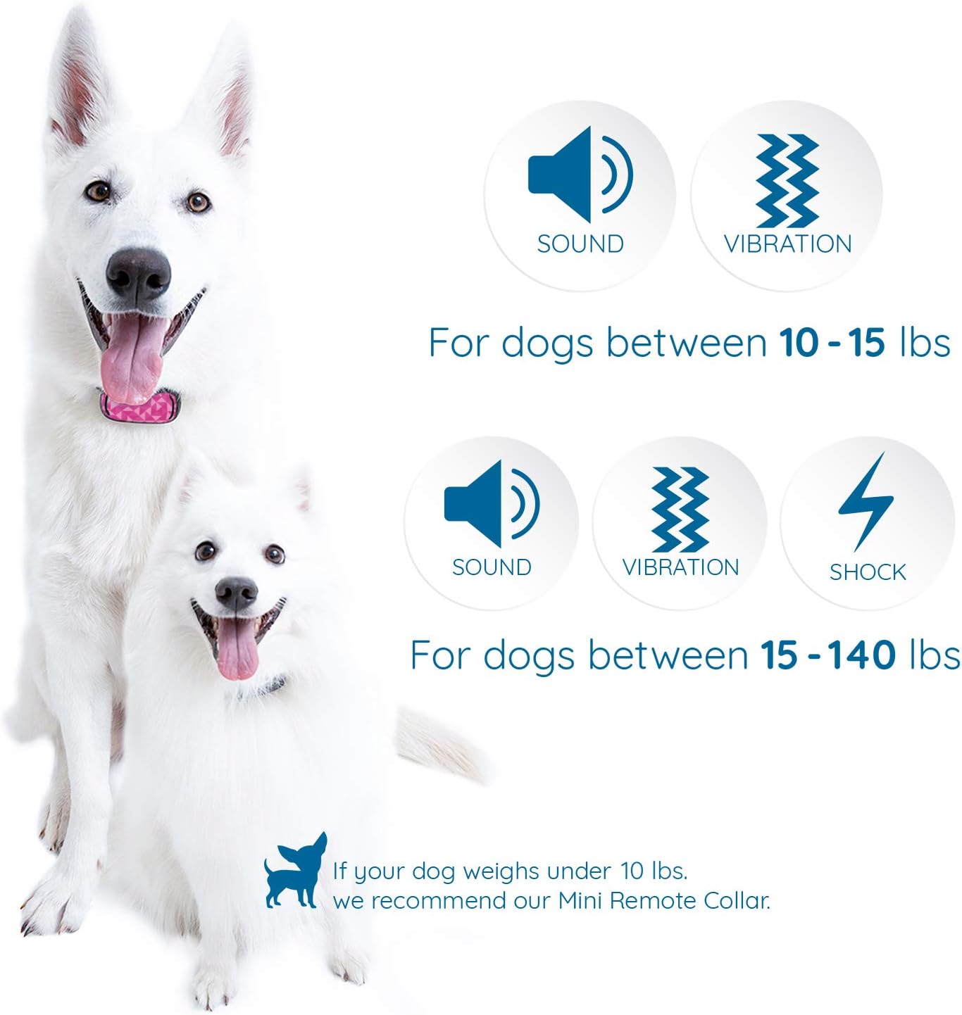 goodboy small size remote collar