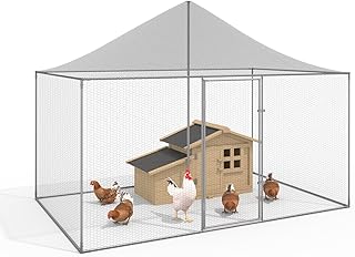 IDMarket - Volière 6 m² Parc grillagé 3 x 2 M enclos poulailler pour Animaux de Basse Cour