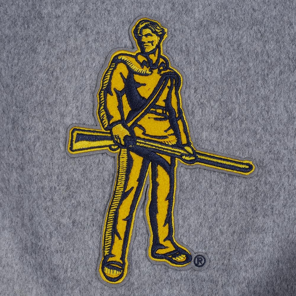 Pro Standard NCAA mens Mens College Classic Chenille Wool Varsity Jacket