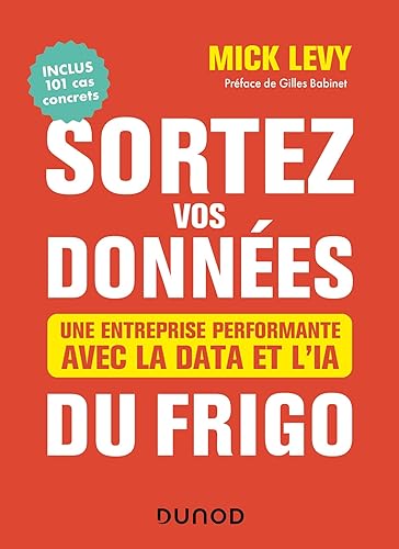 Sortez vos données du frigo - Une entreprise performante avec la Data et l'IA: Une entreprise performante avec la Data et l'IA
