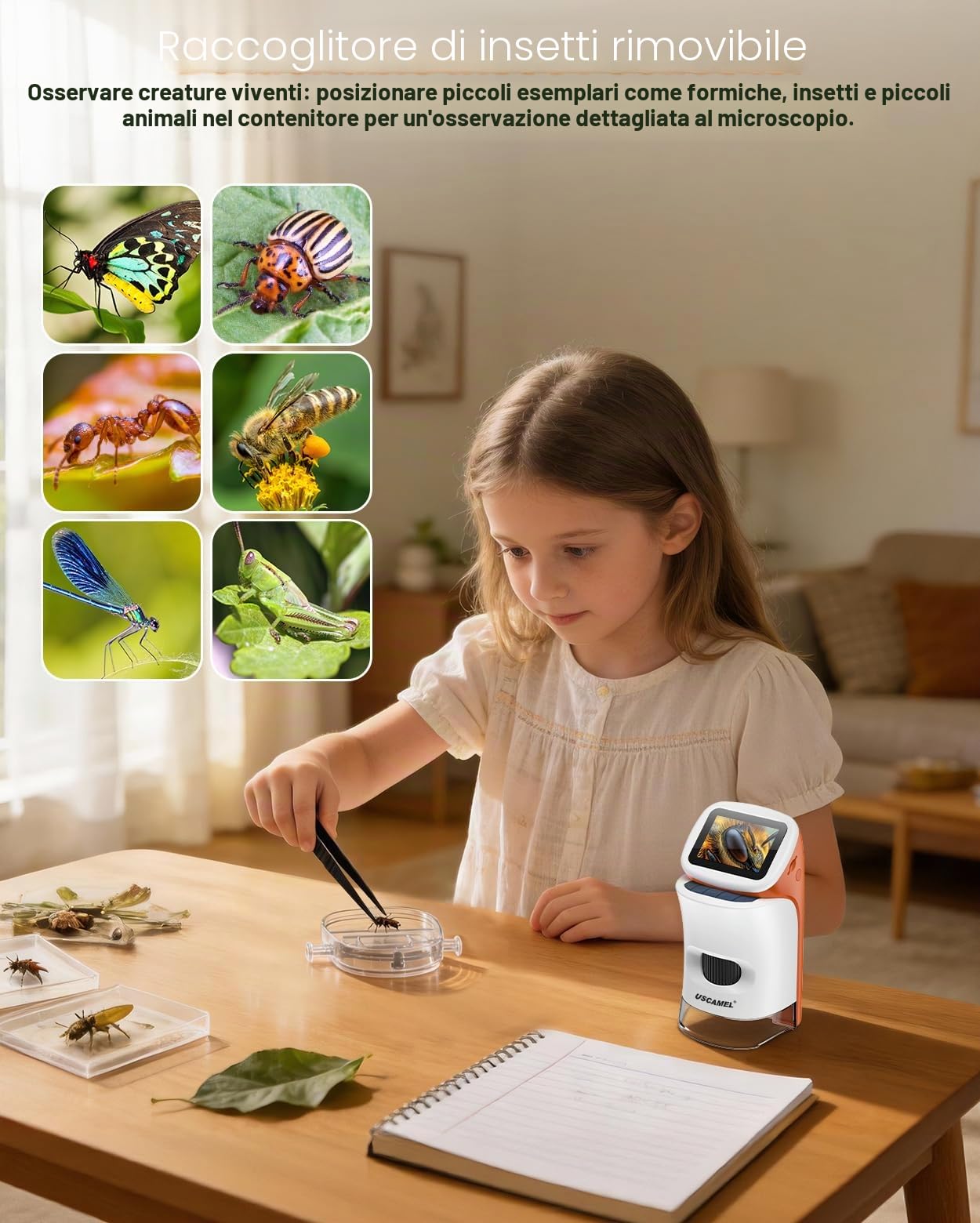 Microscopio per Bambini con Piedi: Microscopi Digitali Mano 100-1000x: Schermo LCD 4K 2,0 Pollici USB Portatile Microscopio tascabile, con Kit Scientifici, 15 Diapositive, Scheda di Memoria 32G