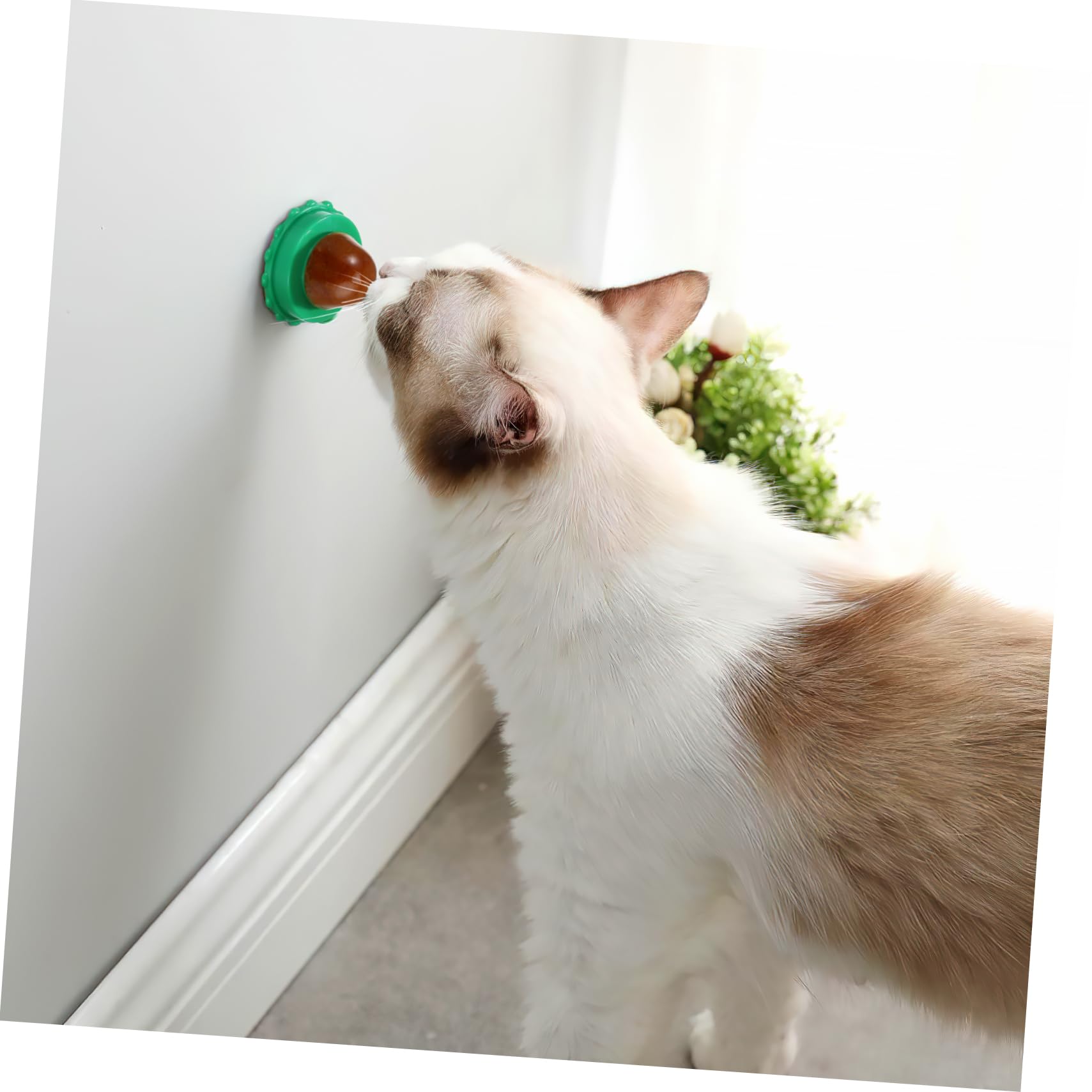 Toddmomy 30piezas Golosinas para Gatos Catnip De Sabor Aleatorio Snacks Nutritivos para Mascotas para Jugar y Masticar