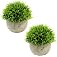 Lpluziyyds Mini Artificial Plants, 2 Pcs Fake Plants for Bathroom/Home Office Decor, Small Artificial Faux Greenery for House