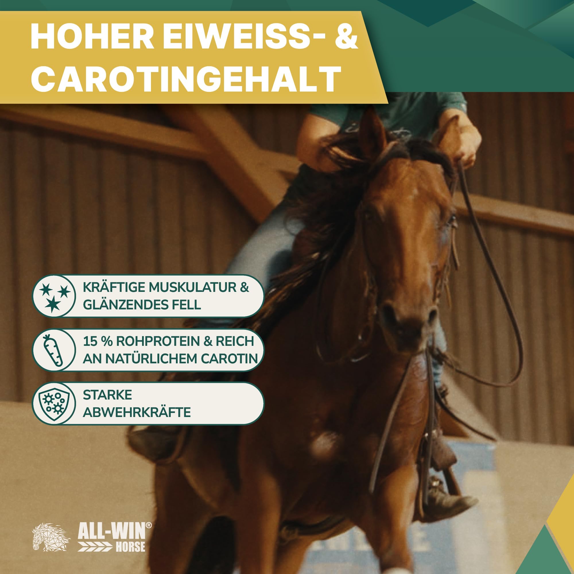 ALL-WIN Horse Wafer Alfalfa + Avena 18 kg | Getreidefreies Pferdefutter ohne Zuckerzusatz | Mit Luzerne & Grünhafer – Fördert Verdauung, Kautätigkeit & Muskelaufbau | Natürliches Ergänzungsfutter