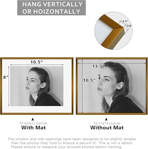 Vista 222 de Golden State Art - Portarretratos de aluminio de 18 x 24 pulgadas - con paspartú para fotos de 16 x 20 pulgadas o sin paspartú para póster de 18 x
