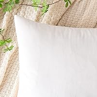 Vista 146 de EMEMA Paquete de 2 fundas de almohada de terciopelo, decorativas, cuadradas, suaves, sólidas, para sofá, dormitorio, silla o automóvil, 18 x 18 Gris