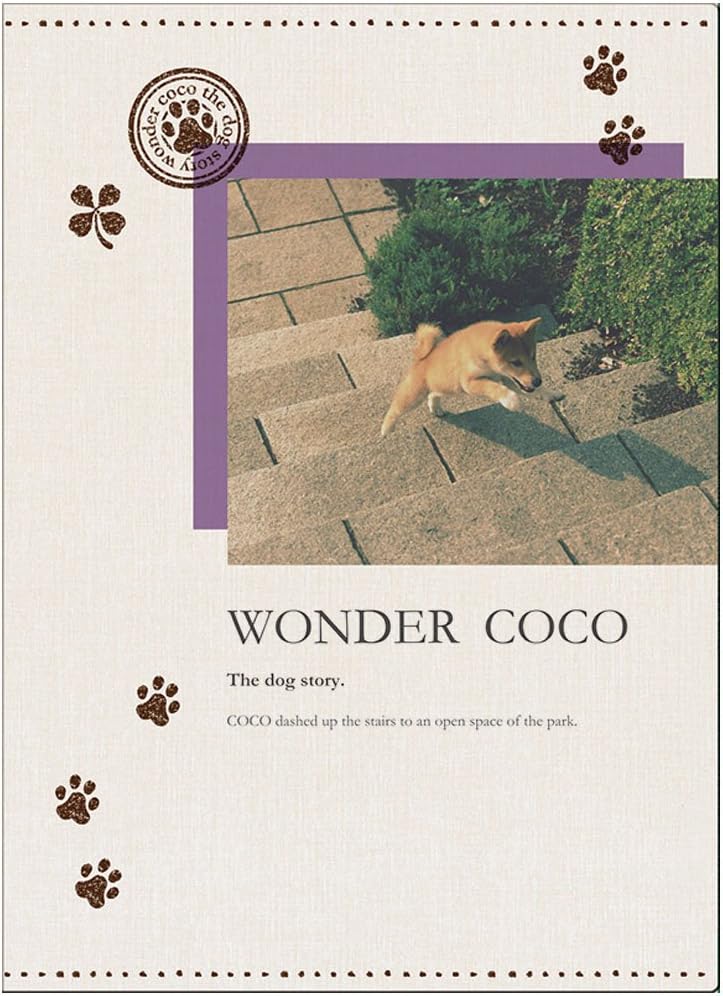 Nakabaya Palm Pocket Album 5 Large 480 Sheets Wonder Content