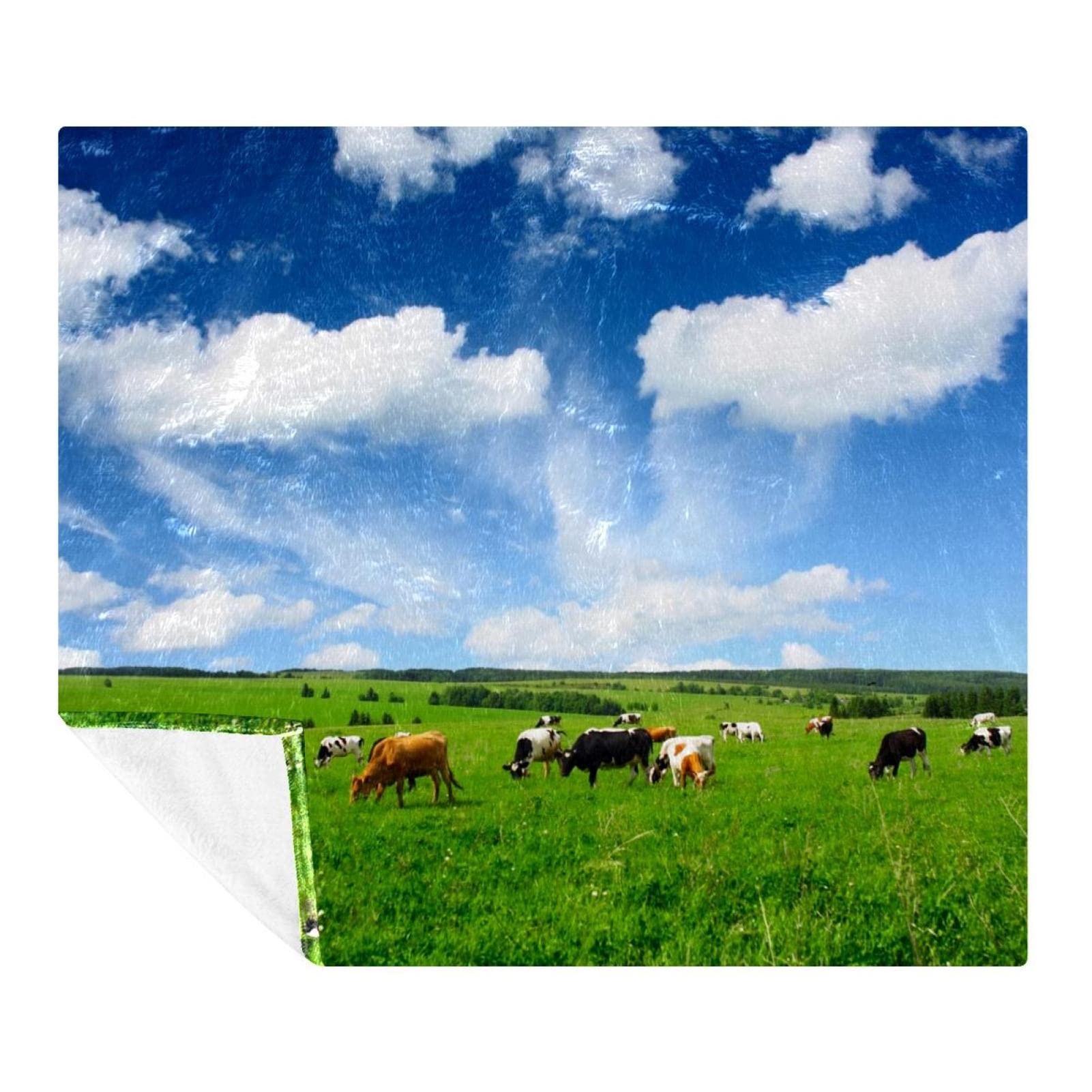 Couverture douce vaches plaid polaire léger anti-froid canapé lit