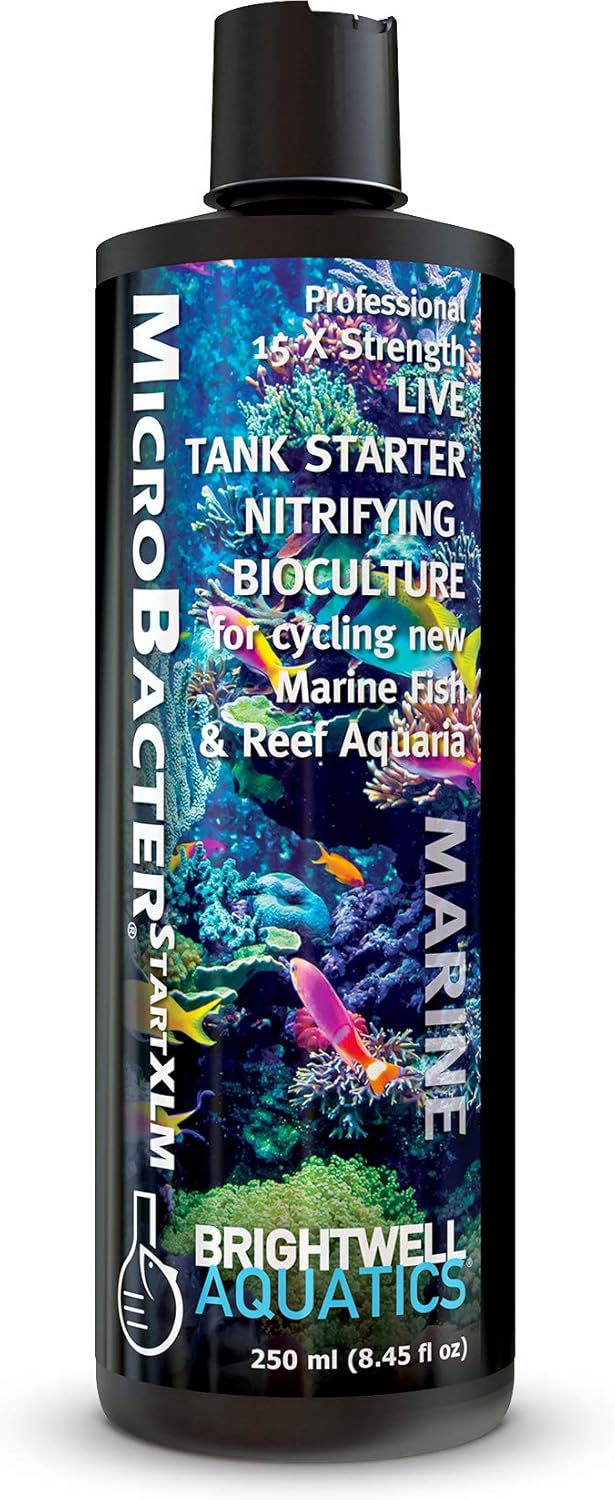 Brightwell Aquatics MicroBacter Start XLM – Concentrated Saltwater Nitrifying Bacteria – Quick Start Fish Tank Starter, Lift Microbe Levels & Water Filtering – Marine Aquarium Treatments, 8.45 fl oz