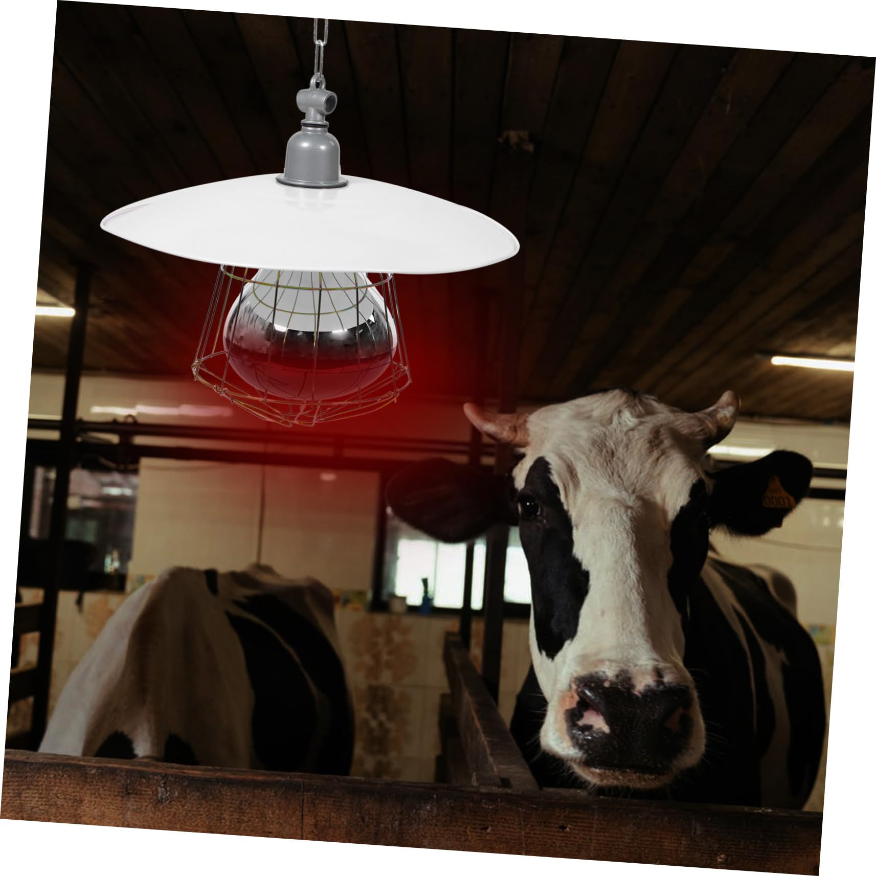 Lampada Riscaldante Colore Casuale Alta Sicurezza e Resistente Coprilampada in Metallo e Alluminio per Bestiame per Gabbie di Animali Domestici e Suinetti
