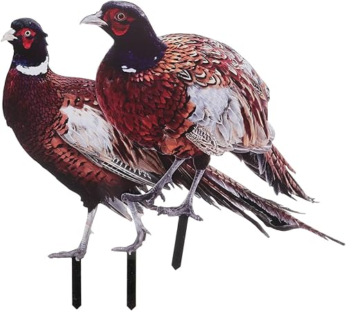 HANABASS 2 estacas realistas de faisán para jardín, decoración de faisán, decoración de animales acrílicos, impresión UV de doble cara, ideal para