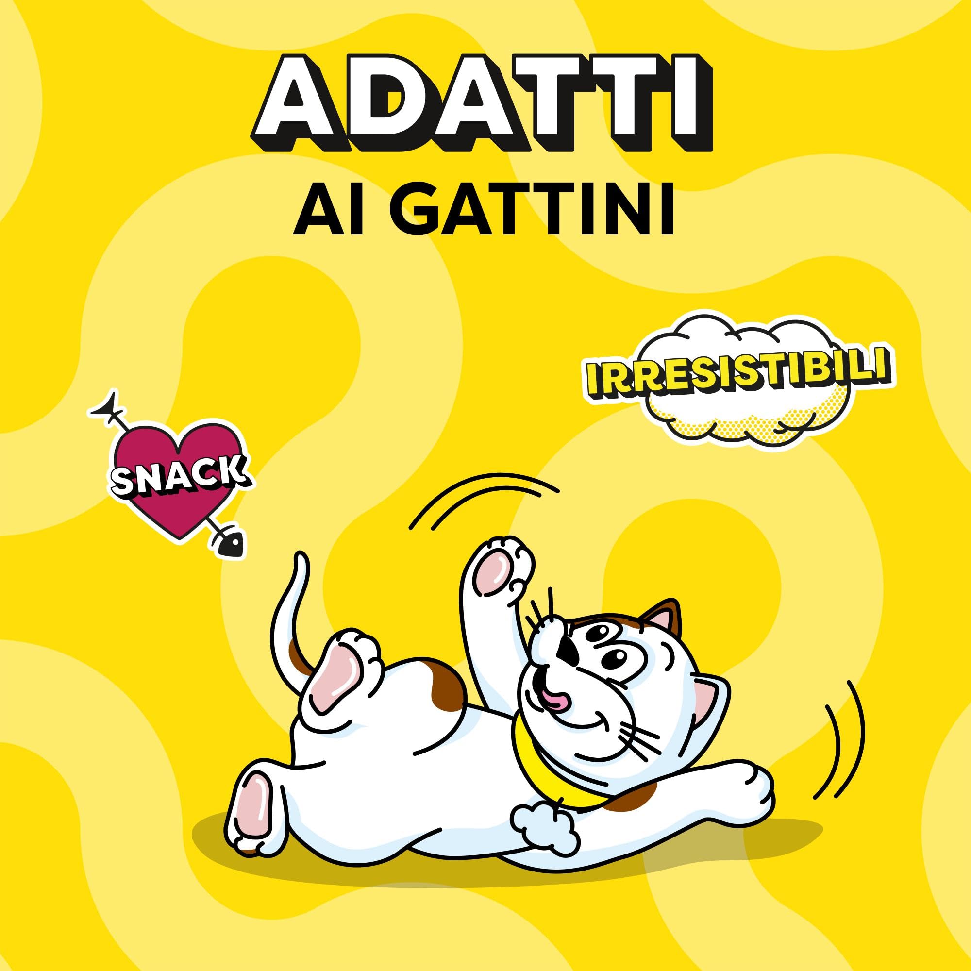 Catisfactions Snack per Gatto, Confezione mista Pollo Formaggio Salmone, 12 x 60 g