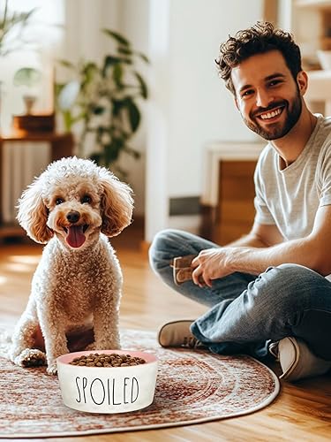 Miniatura 9 de WoofinPets Cuenco de cerámica para perros de 27 onzas, cuenco extra grande de agua y alimentos de 6 pulgadas, plato antideslizante resistente para