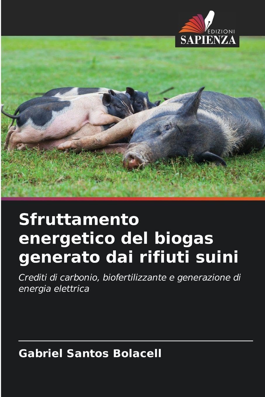 Sfruttamento energetico del biogas generato dai rifiuti suini: Crediti di carbonio, biofertilizzante e generazione di energia elettrica
