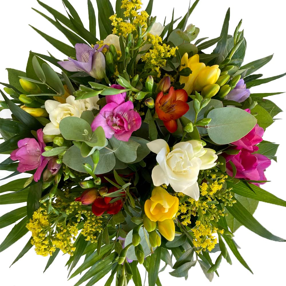 Blumenstrauß mit 10 bunten Freesien, Solidago und Eukalyptuszweigen | Gratis Grußkarte inklusive, Frisch, Schön bunt